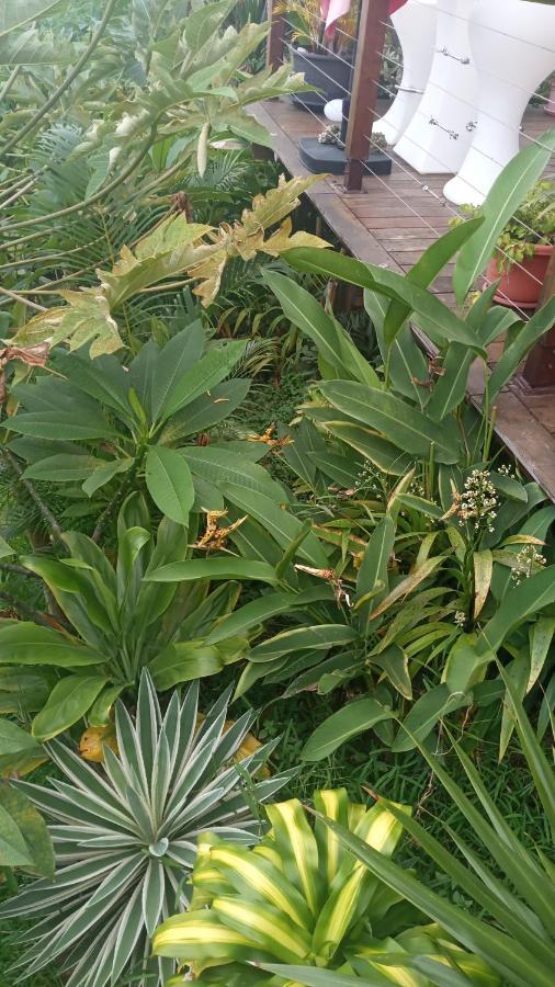 Manava Tahara'A Home Stay Mahina Extérieur photo
